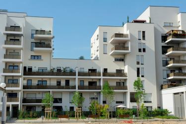 offre d'emploi rénovation urbaine